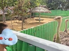 -西霞口神雕山野生动物世界