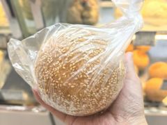 -白玉兰食品(甜云店)