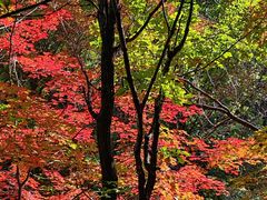 -本溪老边沟风景区