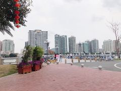 -野狸岛