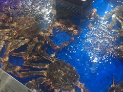 -盒马鲜生(枣园路店)