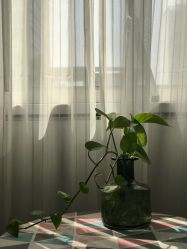 -Hi Skin皮肤管理中心