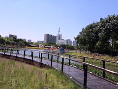 -映月湖公园