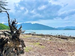 -坝光海滩