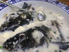 -全乐鱼馆·淳牌有机鱼直营店