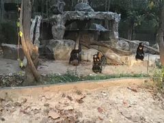 -清迈夜间动物园