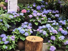 -花二家·生活馆(六运小区店)
