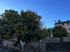 -阿尔罕布拉宫