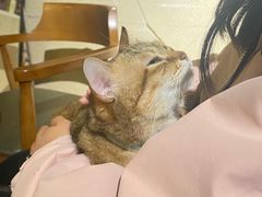 -H立方实景剧情密室(天河旗舰店)