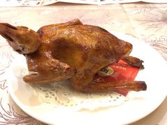 -有腥气私房菜·寻味顺德