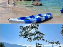 -广东惠东海龟国家级自然保护区