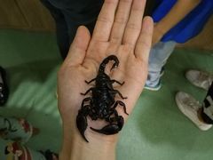 -藦茜花园宠物主题亲子互动体验馆(国顺东路店)