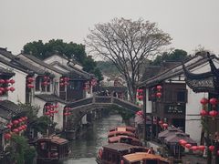 -松鹤楼(山塘街店)