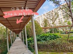 -梧桐人家中国太平国际健康颐养社区