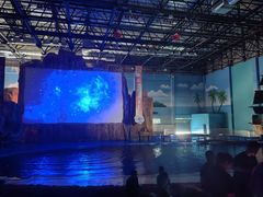 -华夏文旅海洋公园