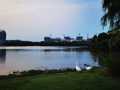 -东华大学(松江校区)