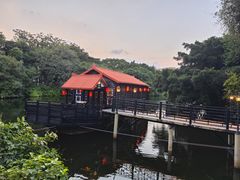 -侨美·唐荔园·40年地道粤菜