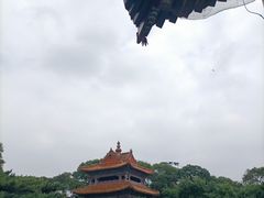 -北陵公园