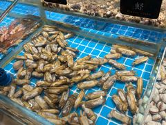-加餐海鲜自助(集美银泰百货店)