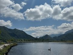 -大九湖