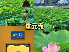 -阳澄湖半岛旅游度假区