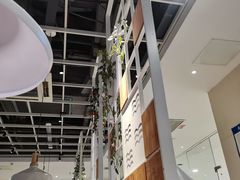 大堂-Aqua Oasis 水天堂(石路天虹店)
