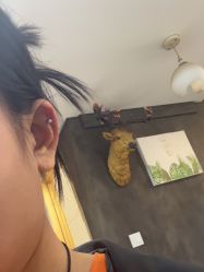 -焰针刺青纹身.手工穿孔饰品·中国刺青名店