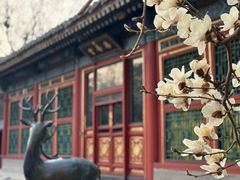 -颐和园