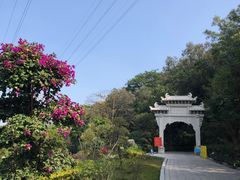 -顺峰山公园