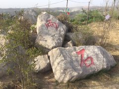 -五龙城郊森林公园