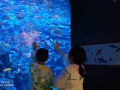 -成都浩海立方海洋公园