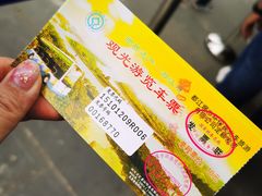 -都江堰景区