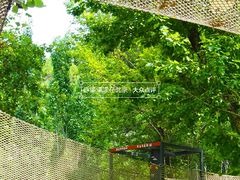 -幽岚山·童话森林