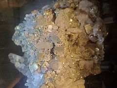 -陕西自然博物馆