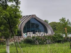 -田园东方蜜桃村的田野营地