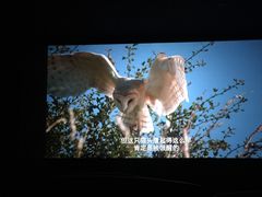 -南宁时代电影大世界(CGS激光中国巨幕)