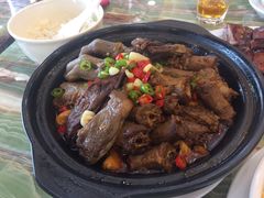 -椿记烧鹅(北门店)