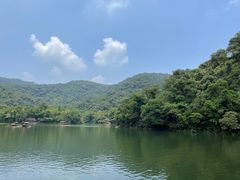 -鼎湖山风景区