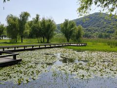 -长广溪湿地公园