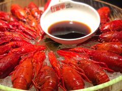 经典冰镇龙虾-红盔甲·小龙虾(人民广场店)