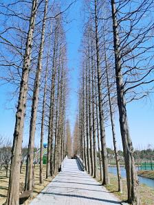 蒋巷村-"嘎嘎部落有会动的恐龙,这一点很吸引我家宝."-大众点评移动版