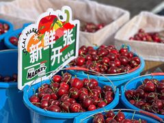 -桃源市场(解放路店)