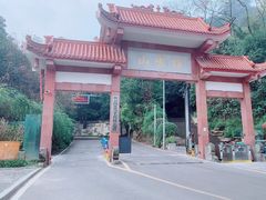 -缙云山景区