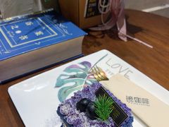 -ZING COFFEE 镜咖啡