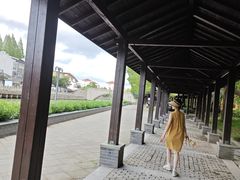 -三林塘老街