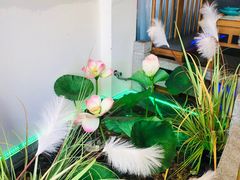 -荷塘秋月·本帮江浙菜(国权路店)