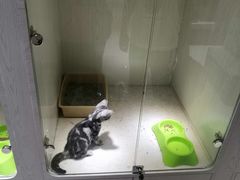 -乐宠宠物店(世纪金源店)