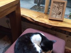 猫儿-天水蔬食料理(树德之光店)