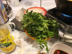 -鲜入围煮花胶鸡海鲜火锅