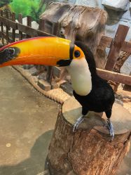 -Zoolung Zoolung动物主题公园(海信广场店)